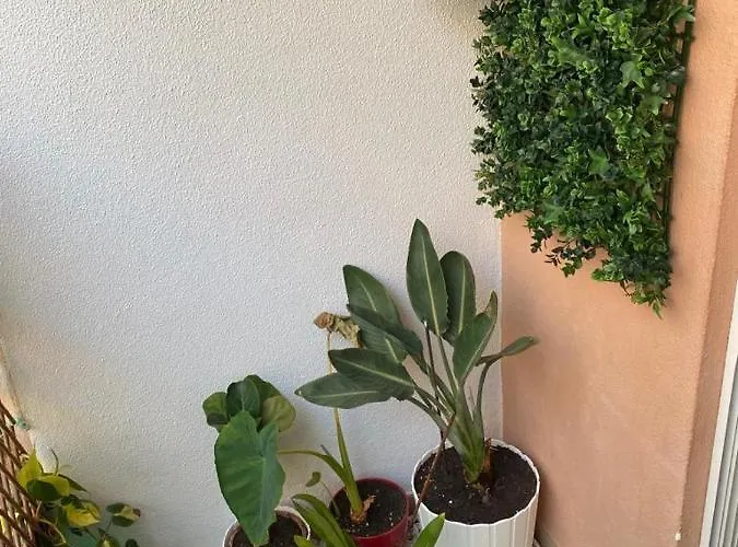 Apartamento Costa Azul